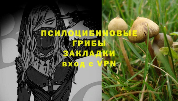 соль ск Алзамай