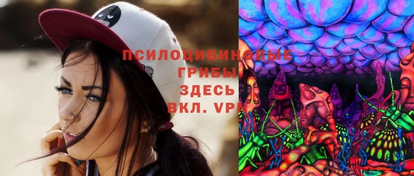 спайс Аркадак