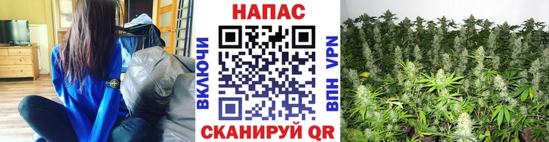 Канабис ГИДРОПОН Алейск